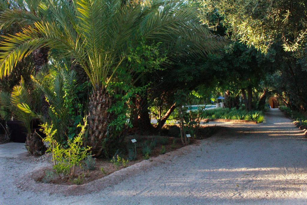 Hotel Jnane Tamsna Marrakesz Zewnętrze zdjęcie