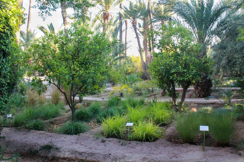 Hotel Jnane Tamsna Marrakesz Zewnętrze zdjęcie