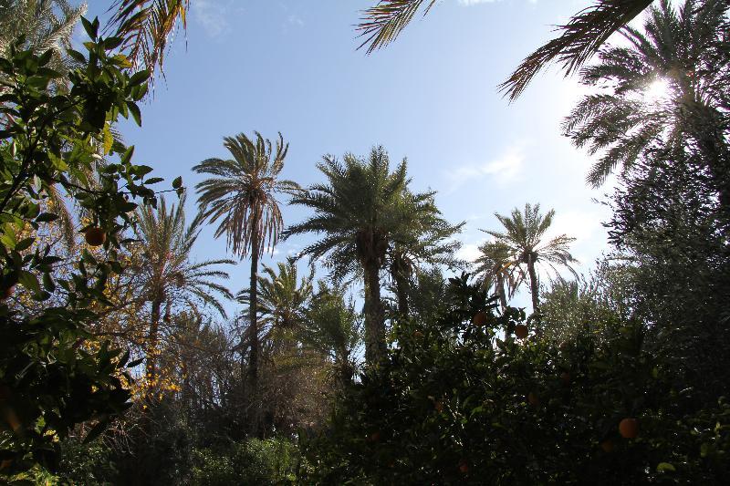 Hotel Jnane Tamsna Marrakesz Zewnętrze zdjęcie