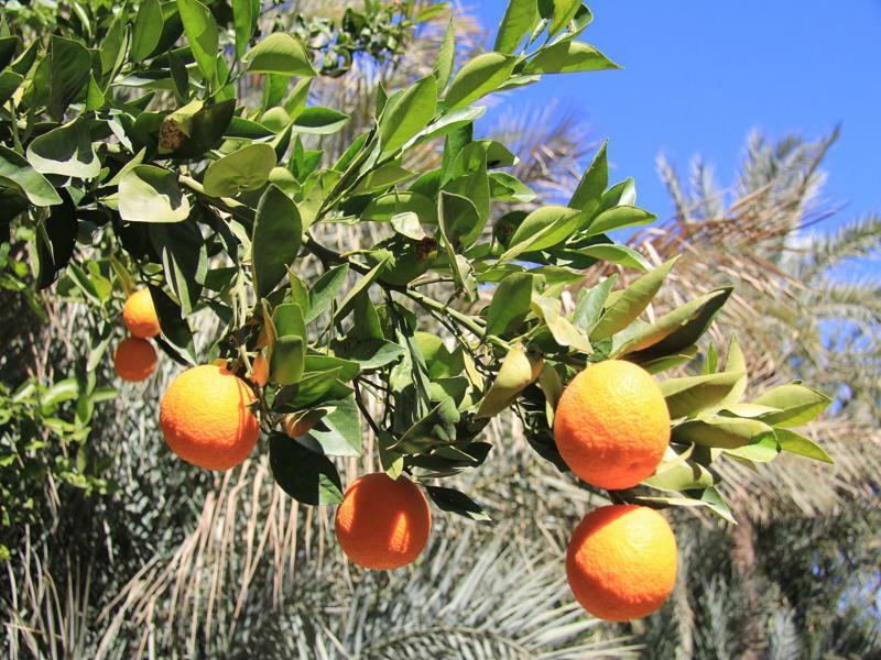 Hotel Jnane Tamsna Marrakesz Zewnętrze zdjęcie