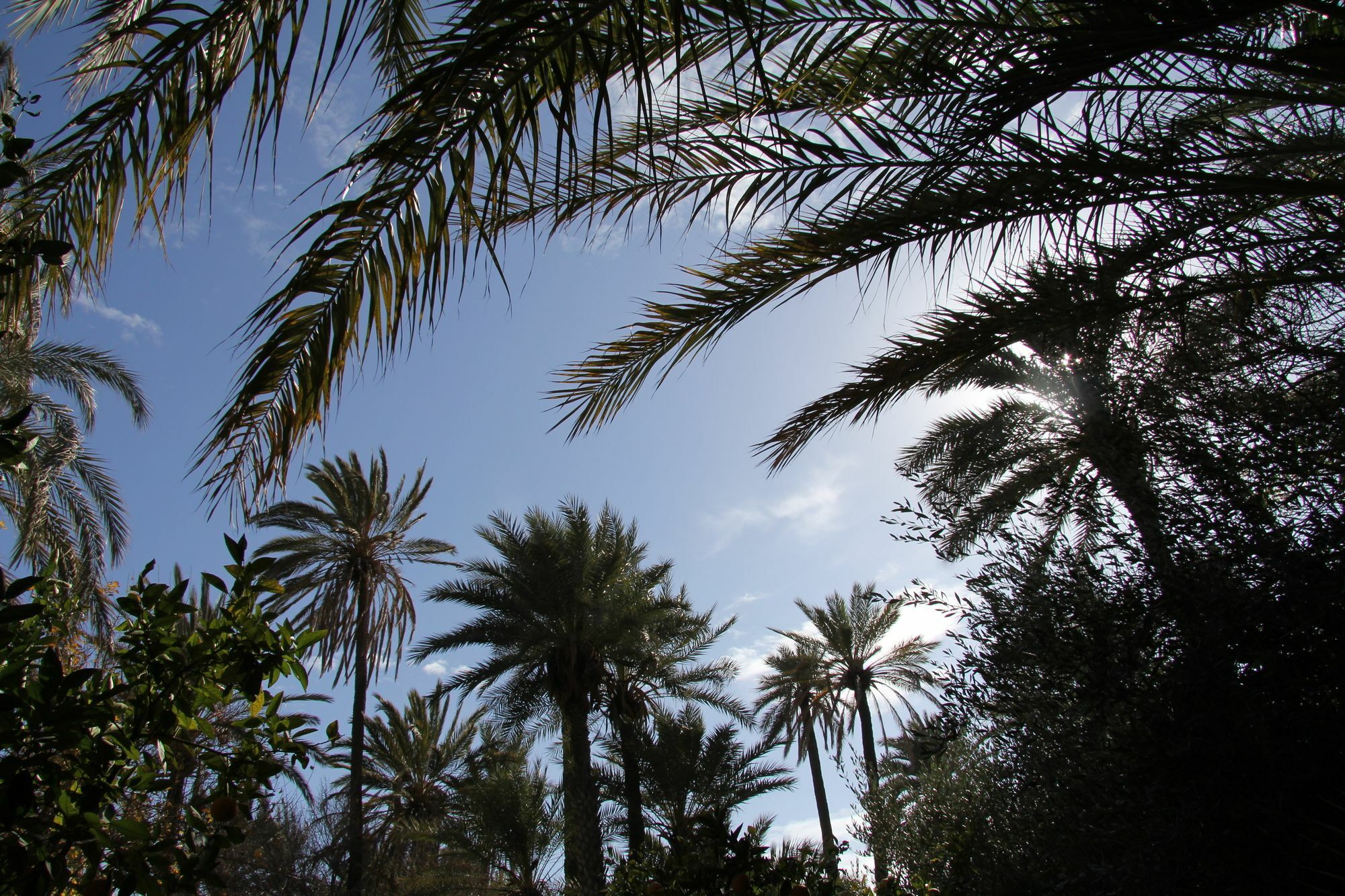 Hotel Jnane Tamsna Marrakesz Zewnętrze zdjęcie